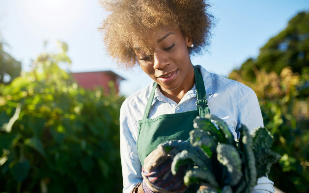 Global Greens: How Different Cultures Equip Their Gardens