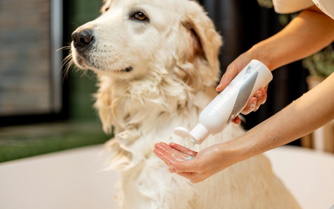 Lathering Up the Right Way: The Importance of Using Pet-Specific Shampoo